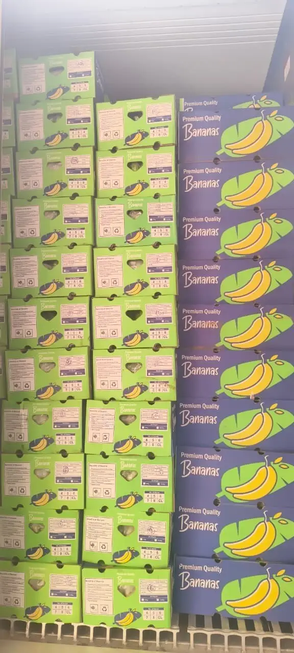 Cartons as they were received