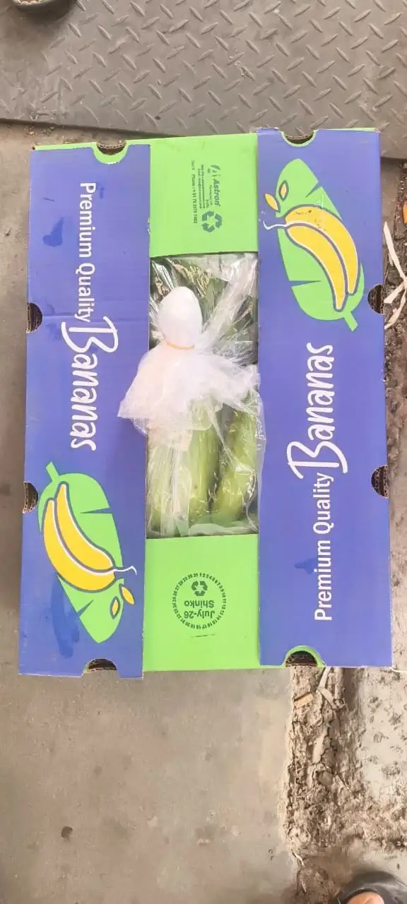 A carton with its liner in place