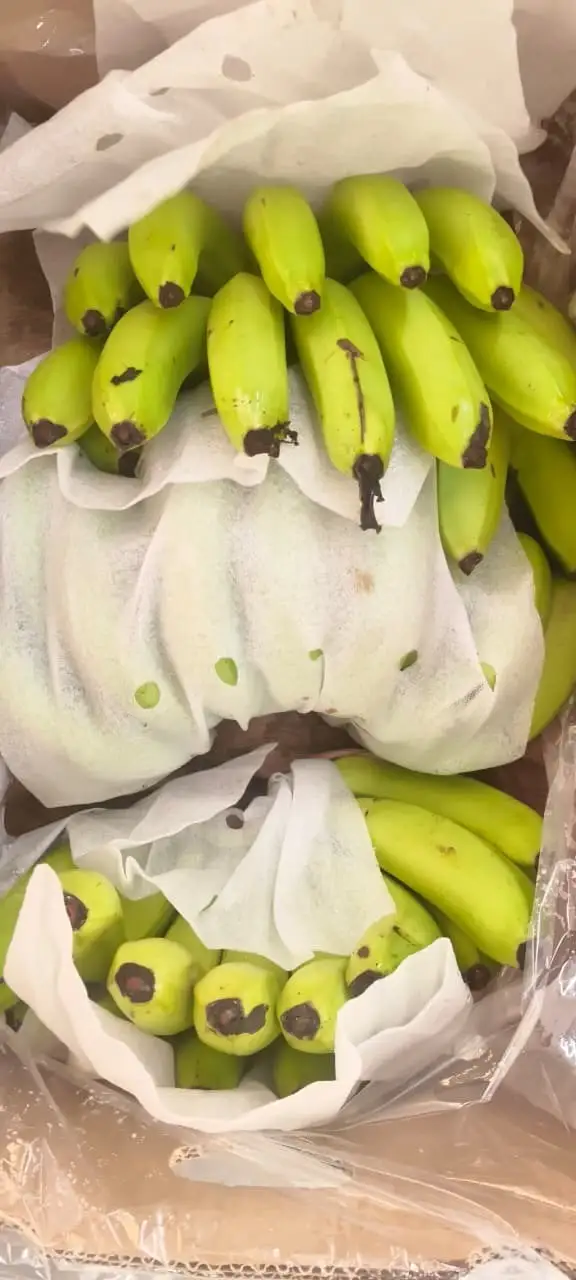 A carton opened, fruit inside the liner