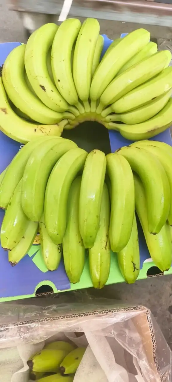 Fruit from the opened carton
