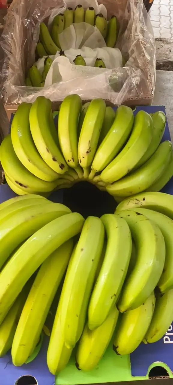 A second carton, opened