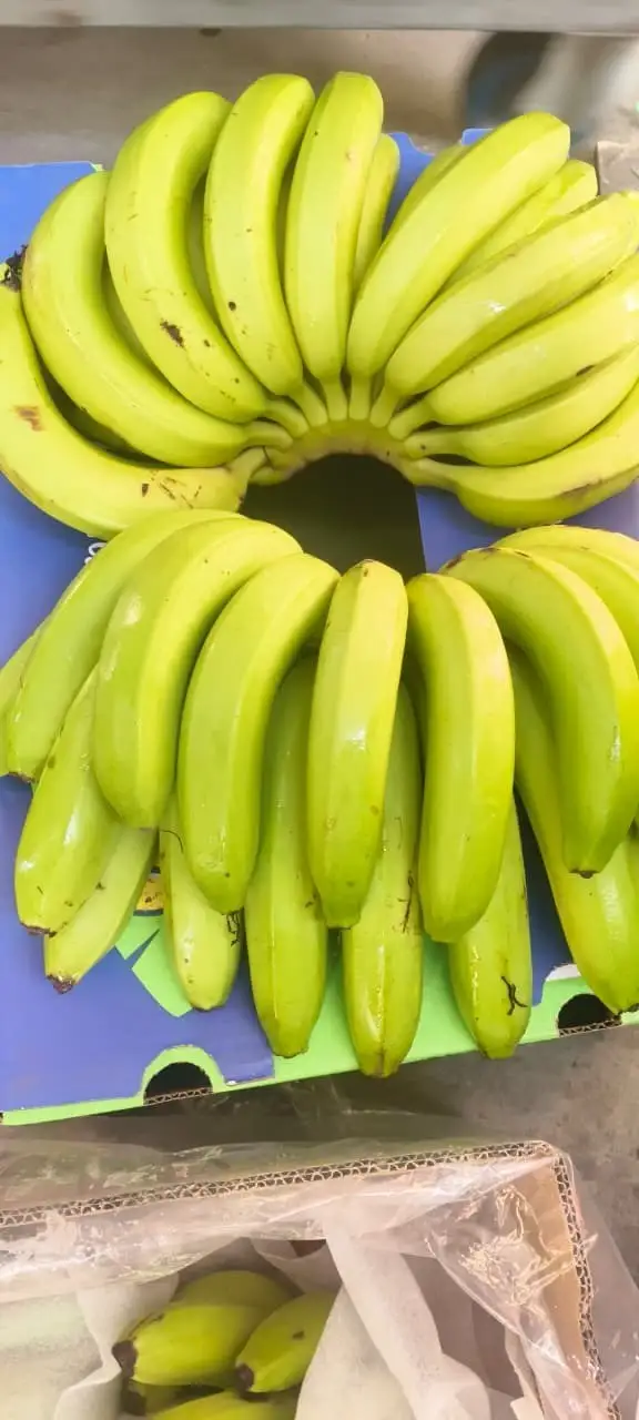 A third carton, opened