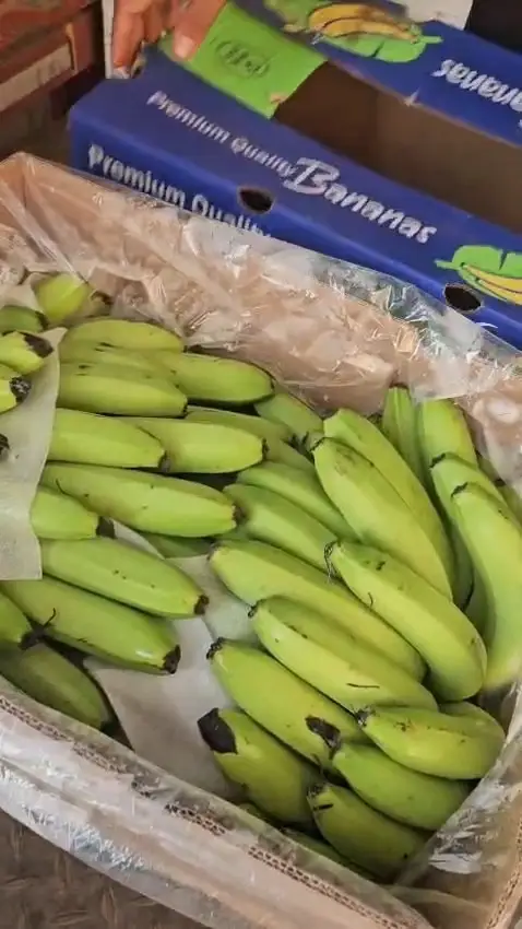A carton opened at the other end, the same box that left India