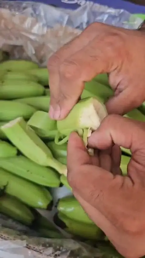 A banana opened lengthwise, the same check made at the farm