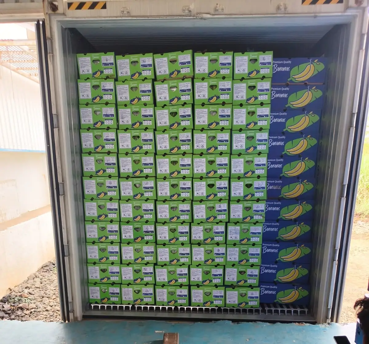 A 40 ft reefer container loaded with cartons of fresh bananas
