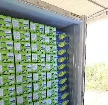 Cartons stacked to the container doors